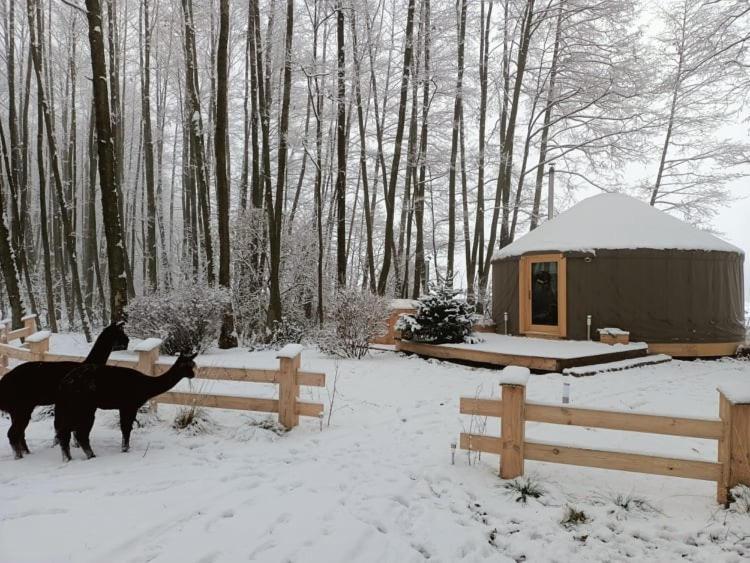 Forglamp Otel Bydgoszcz Dış mekan fotoğraf