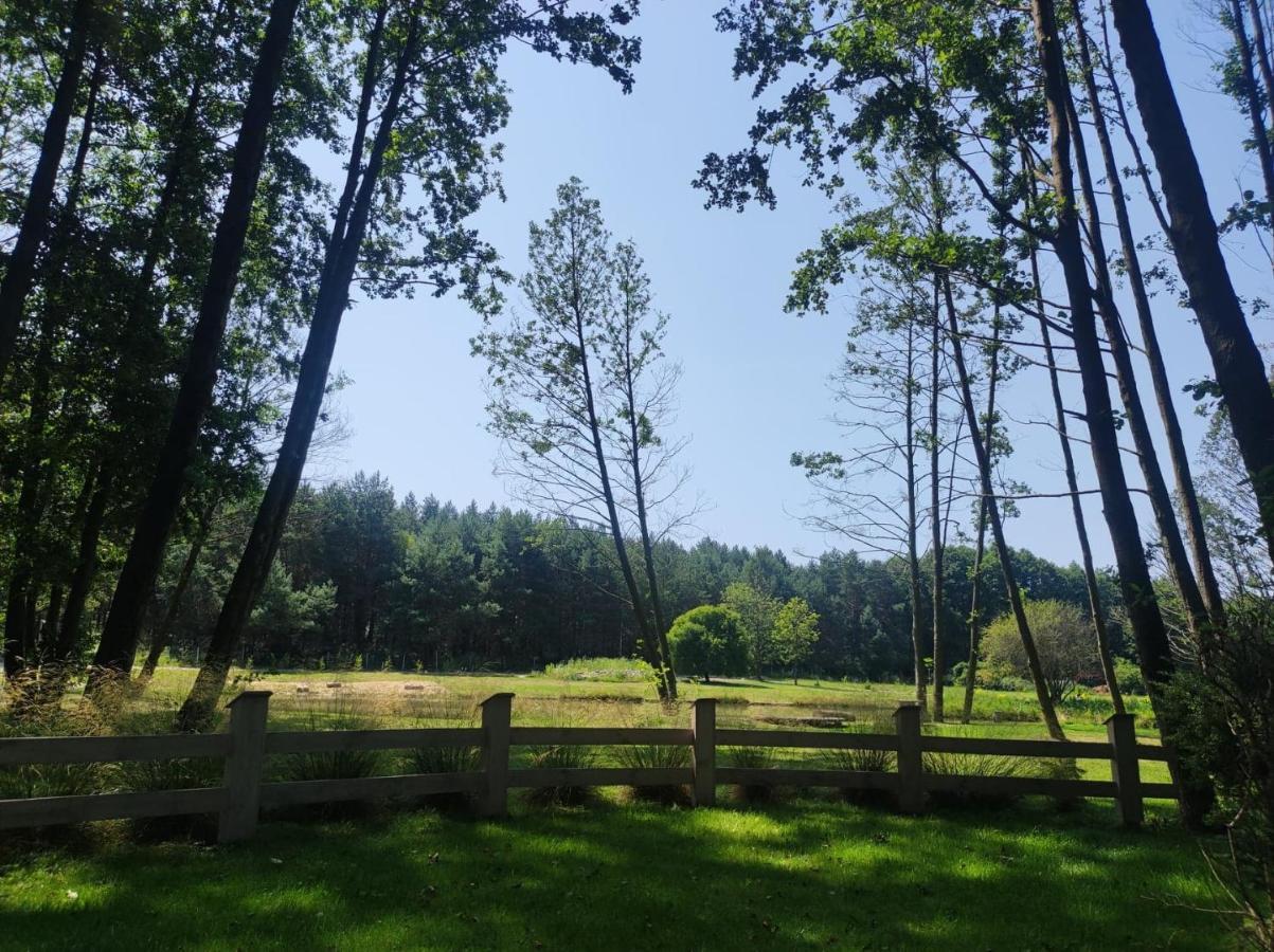 Forglamp Otel Bydgoszcz Dış mekan fotoğraf
